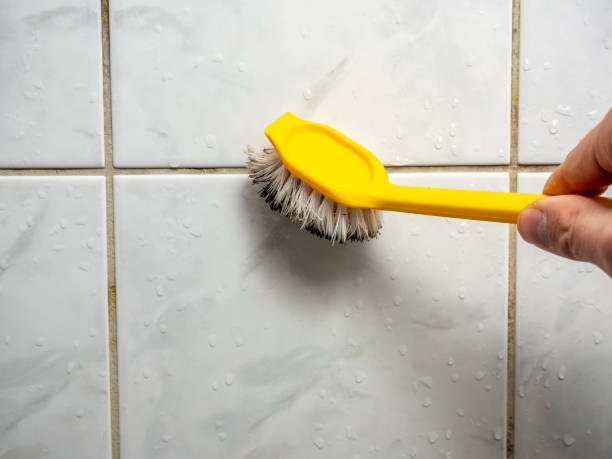 Best Same-Day Mold Removal  in Nashville, NC