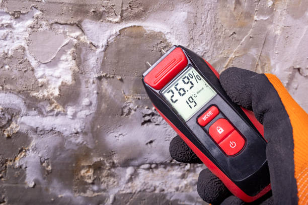 Mold Testing and Removal in Nashville, NC