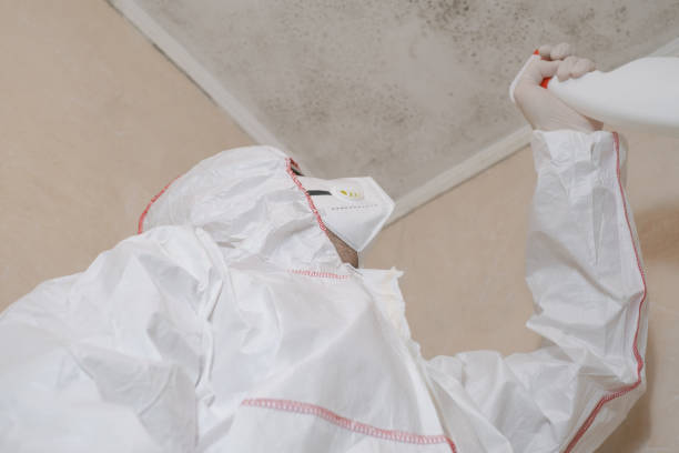Best Professional Mold Removal  in Nashville, NC